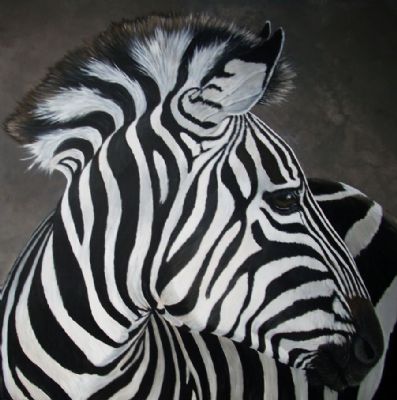 zoey the zebra